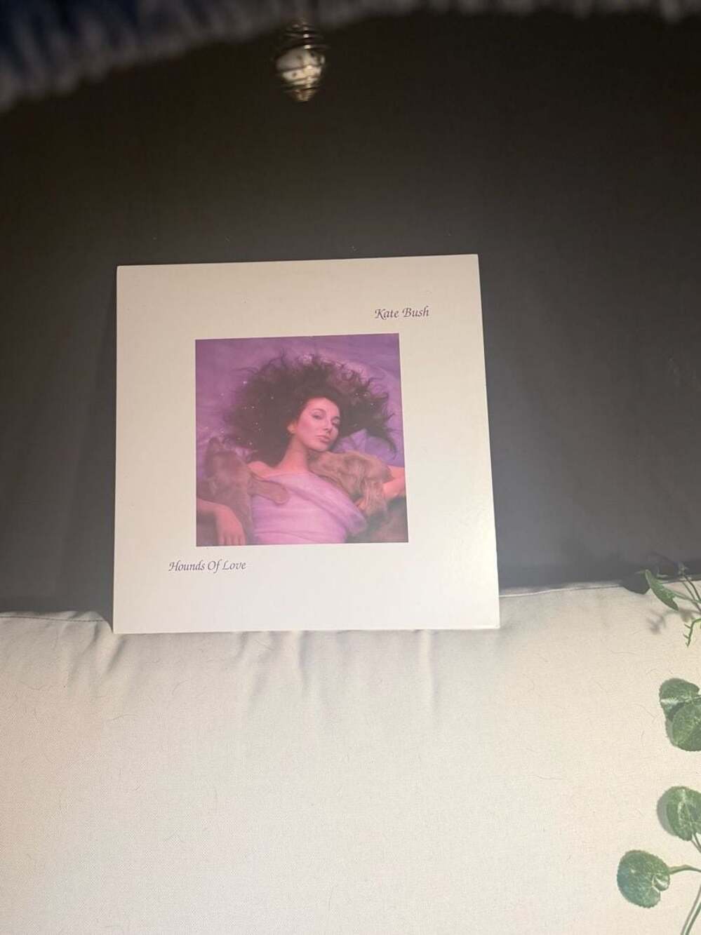 Kate Bush - Hounds of Love Vinyl LP (2018 Fish People Remaster)